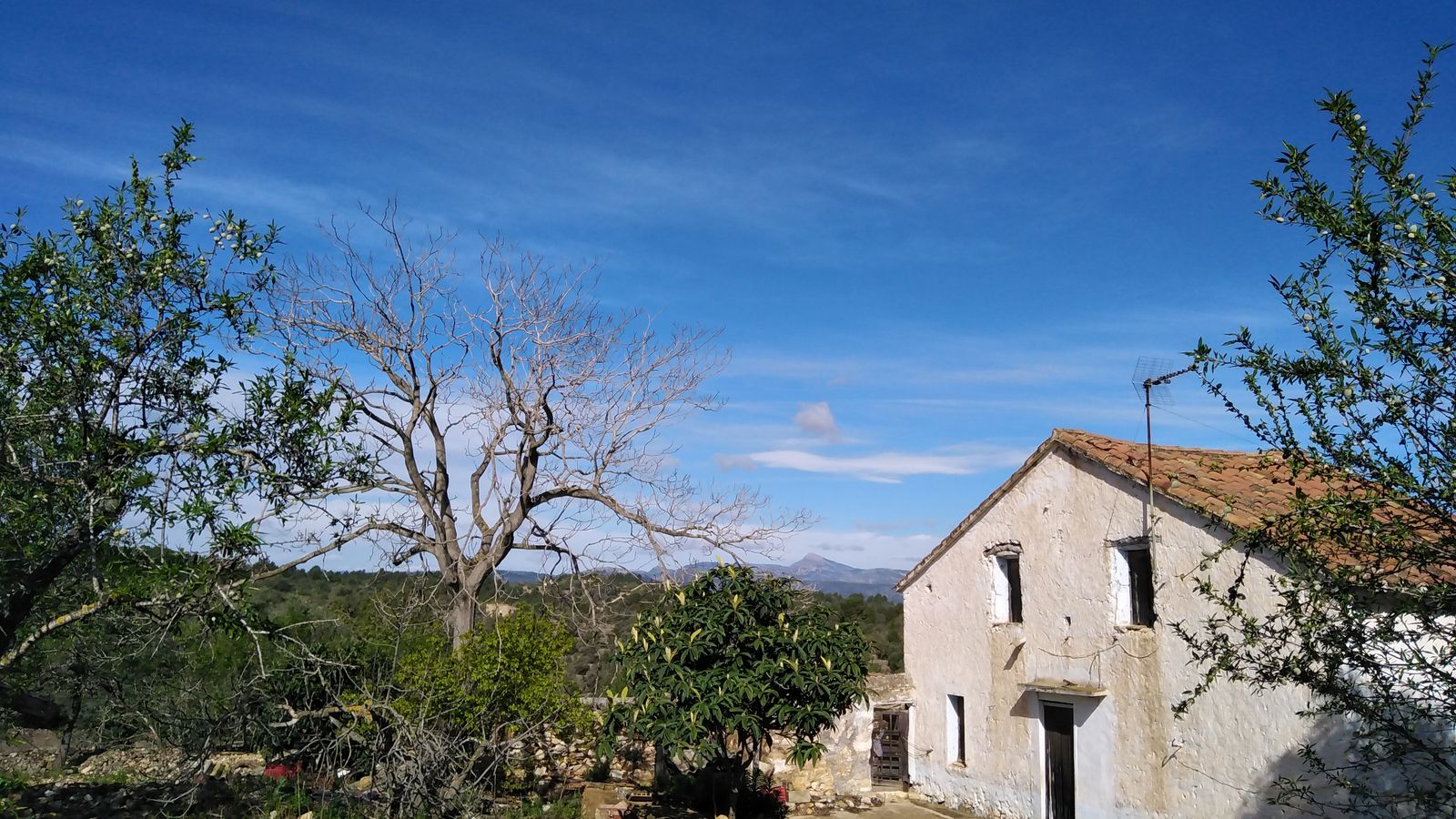 VILAFAMES, LA PLANA ALTA