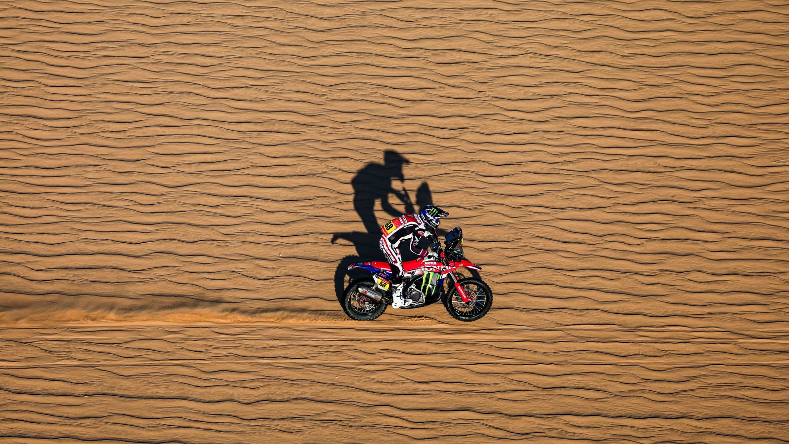 Tosha circulant pel desert