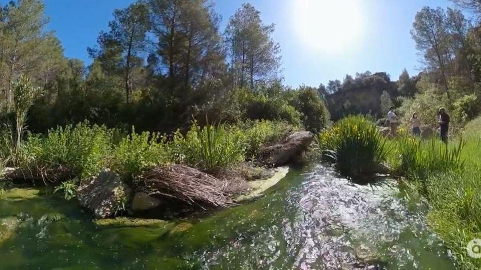 Els rius espanyols Duero, Ebre, Guadalquivir i Guadiana han sigut situats en la categoria d'estat moderat