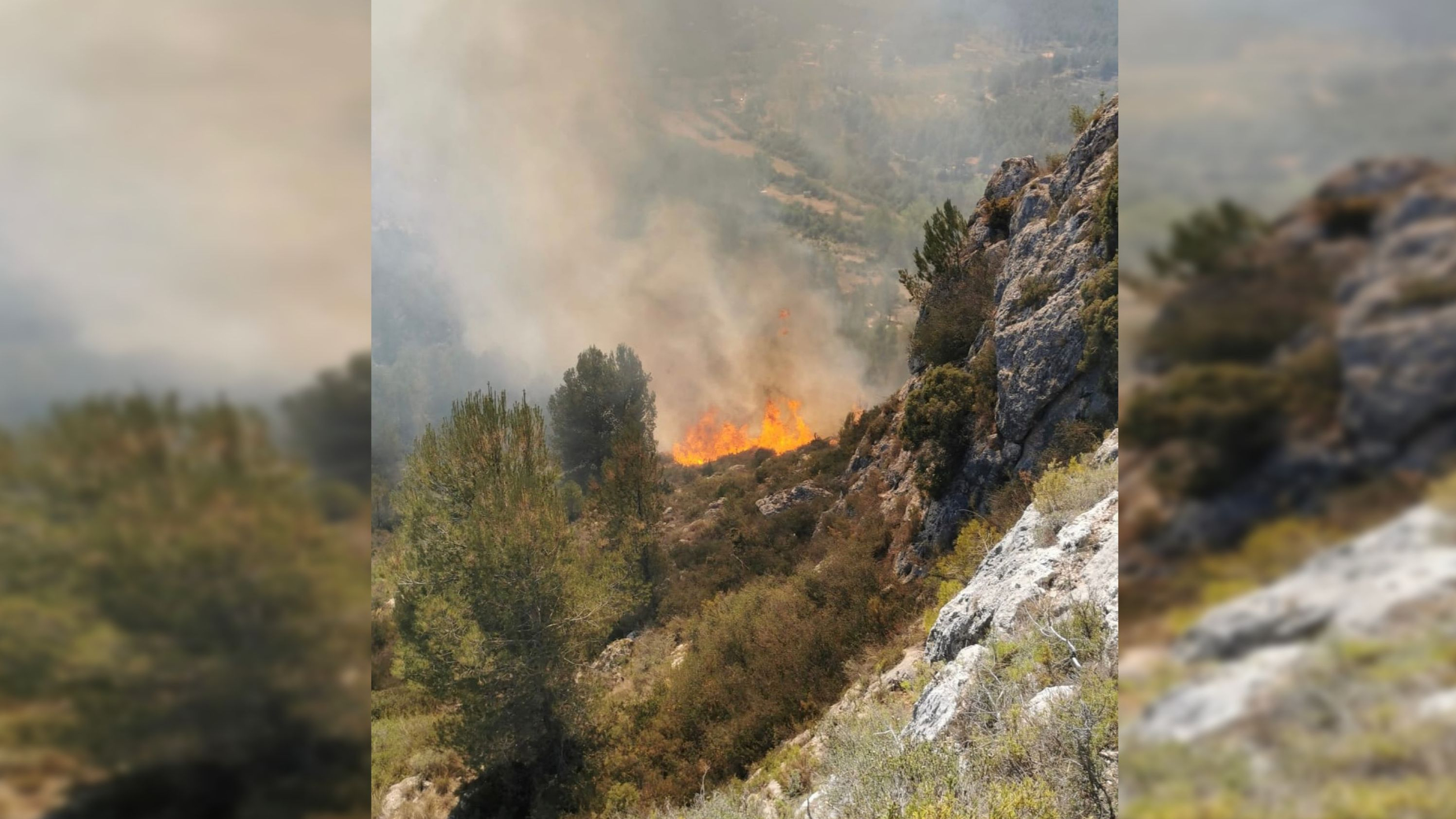 Imatge de l'incendi declarat a Viver Imatge de l'incendi declarat a Viver