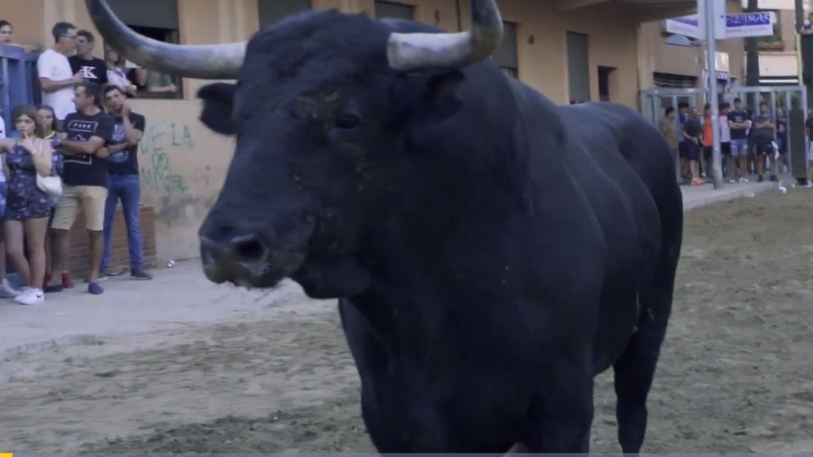 Els bous al carrer any rere any en el punt de mira