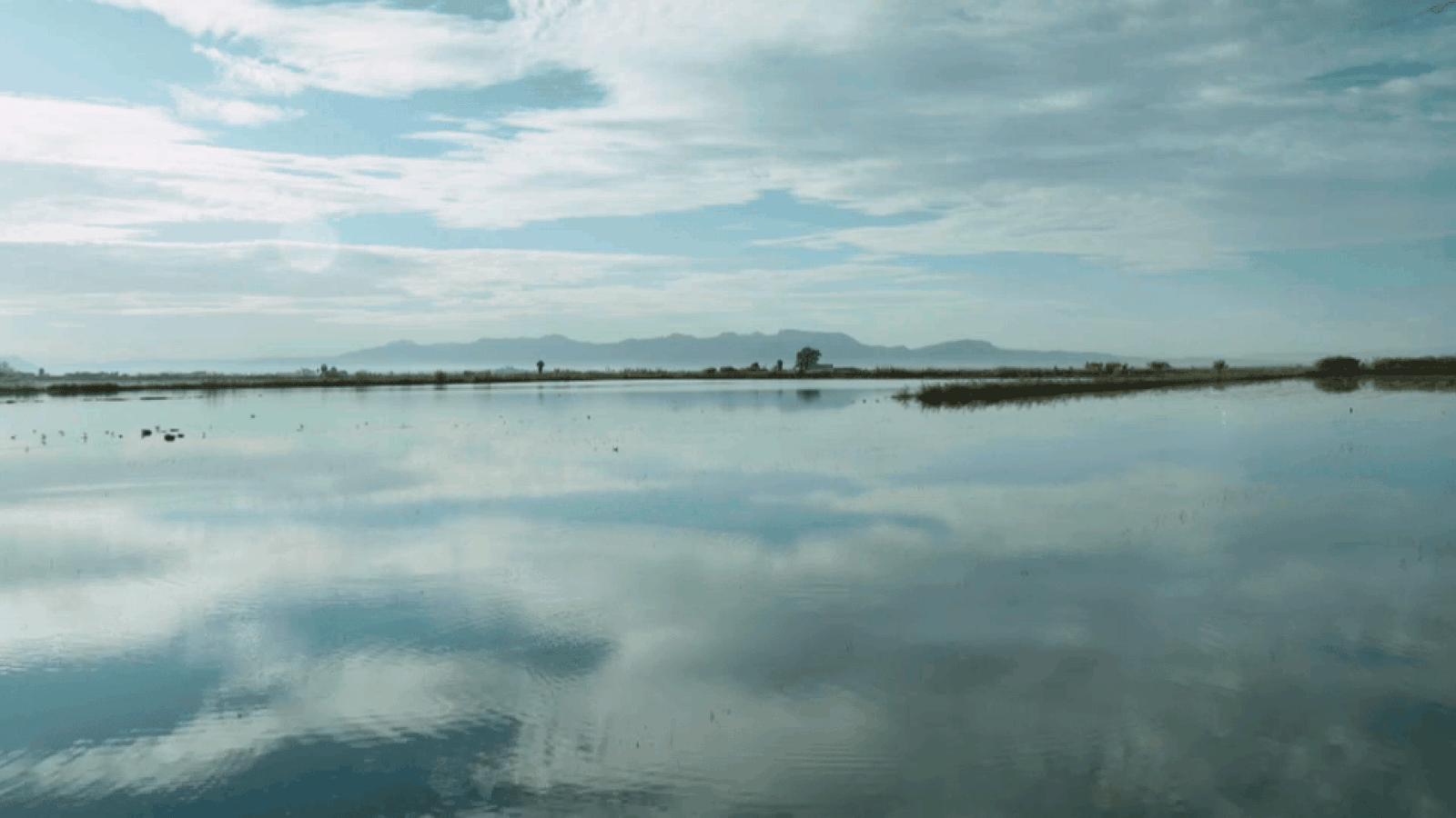 Set aiguamolls de la llista Ramsar són valencians