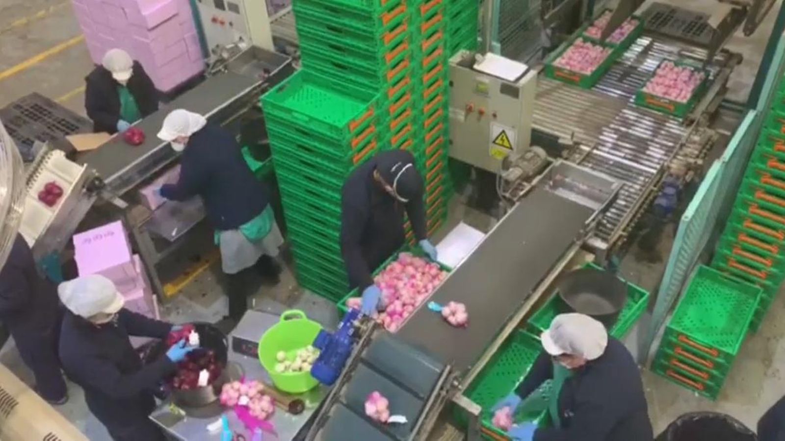 Imatge d'arxiu d'un magatzem del sector agroalimentari