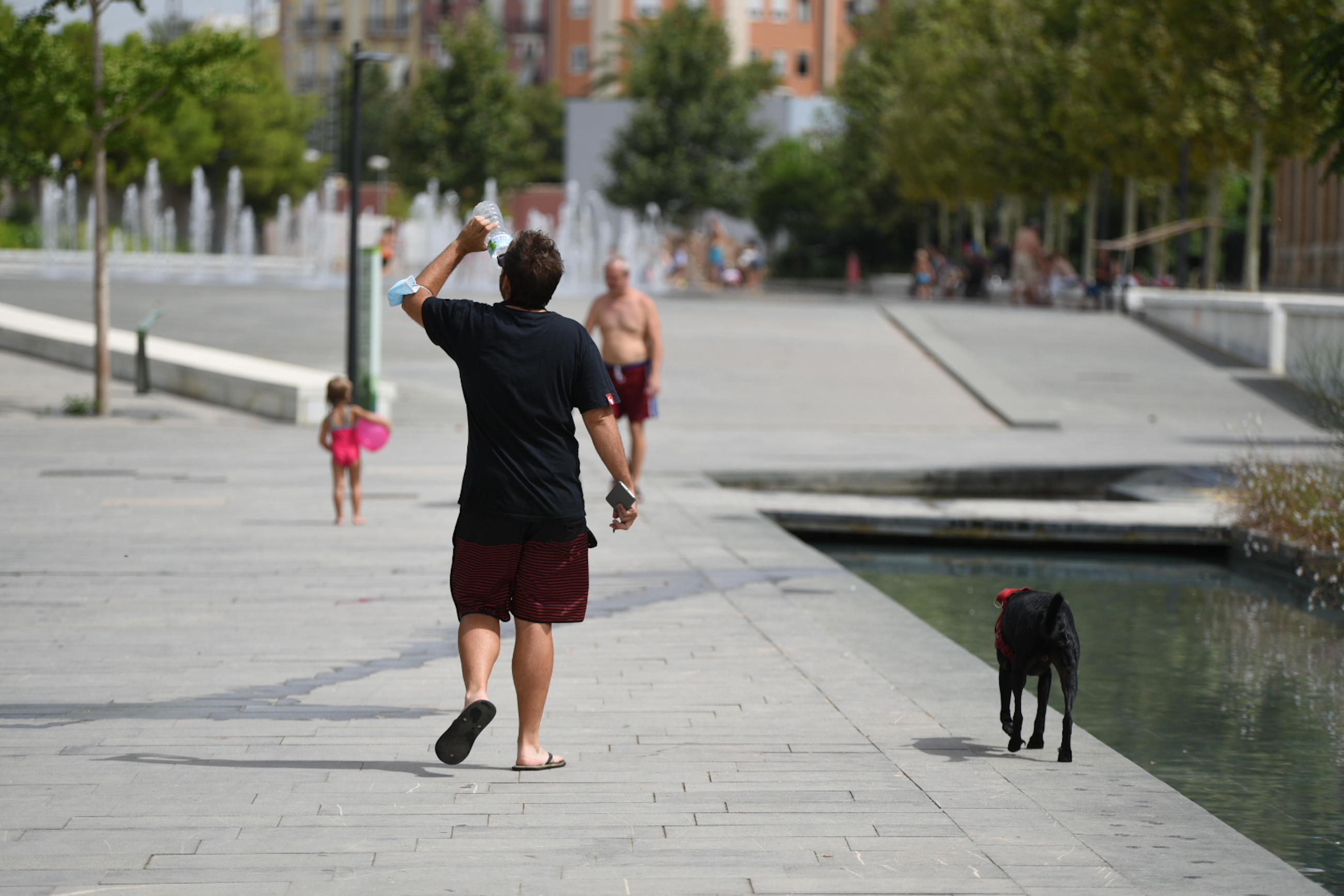 Un home camina pel Parc Central de València amb el seu gos, en una imatge d'arxiu