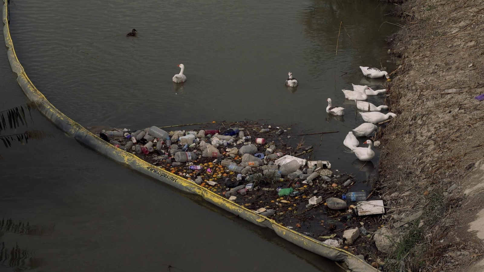 Plàstics en el riu Oriola