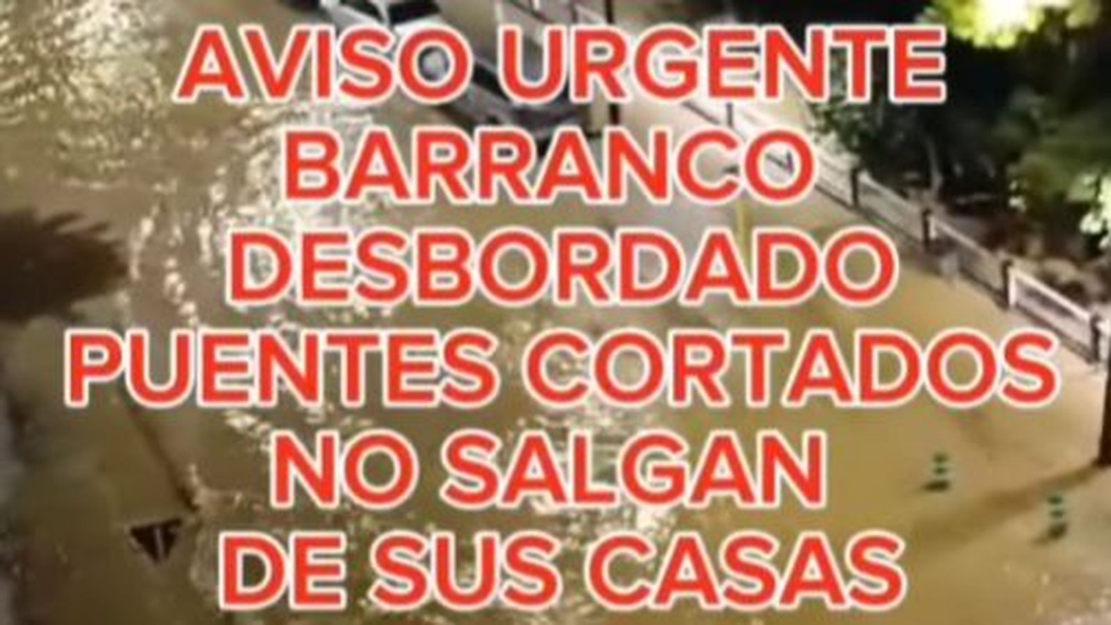 Captura de pantalla del vídeo publicat per l'Ajuntament de Paiporta que aporta la defensa de Pradas