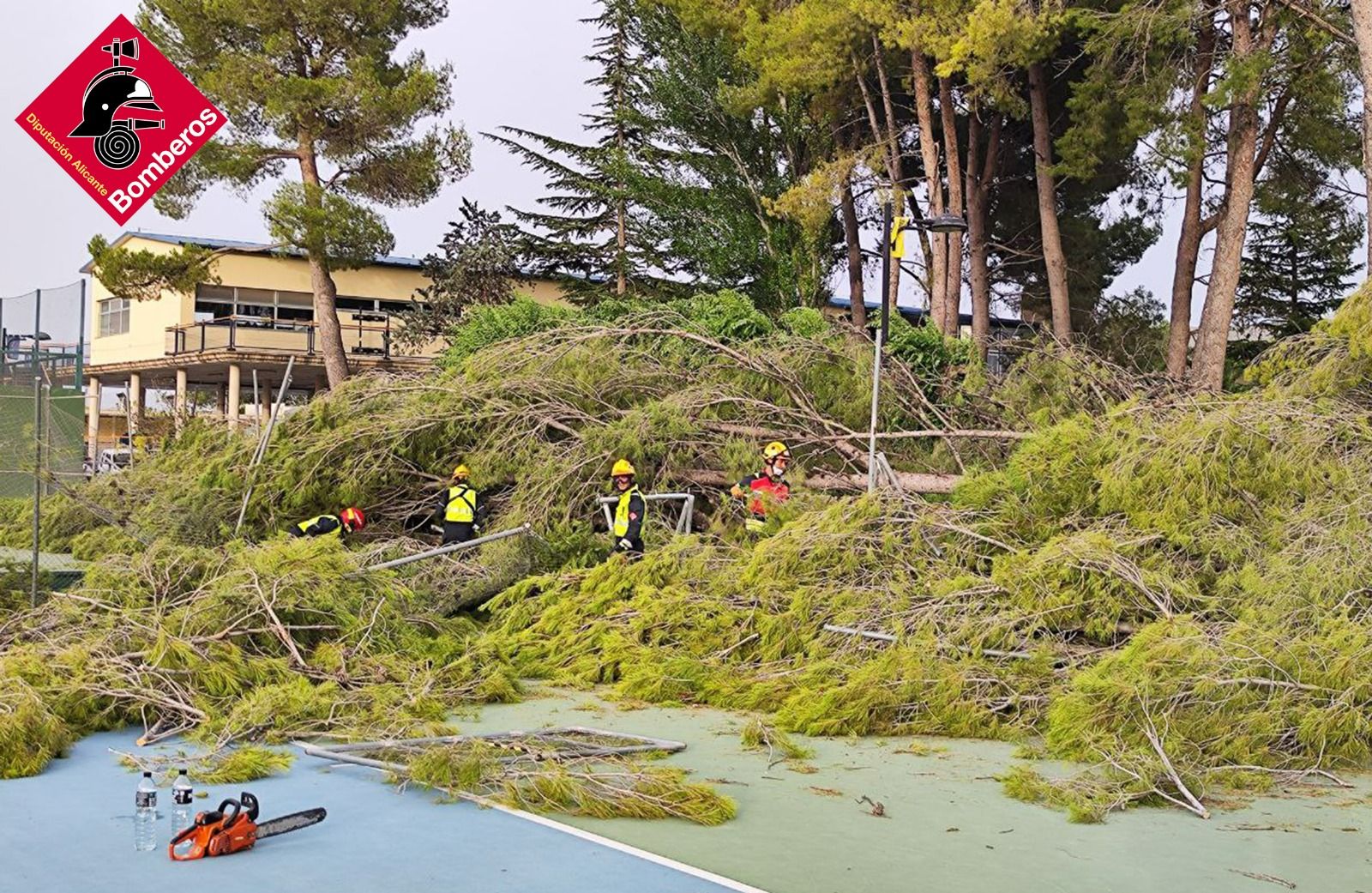 Bombers del consorci d'Alacant tallen els arbres caiguts per l'esclafit tèrmic a Villena