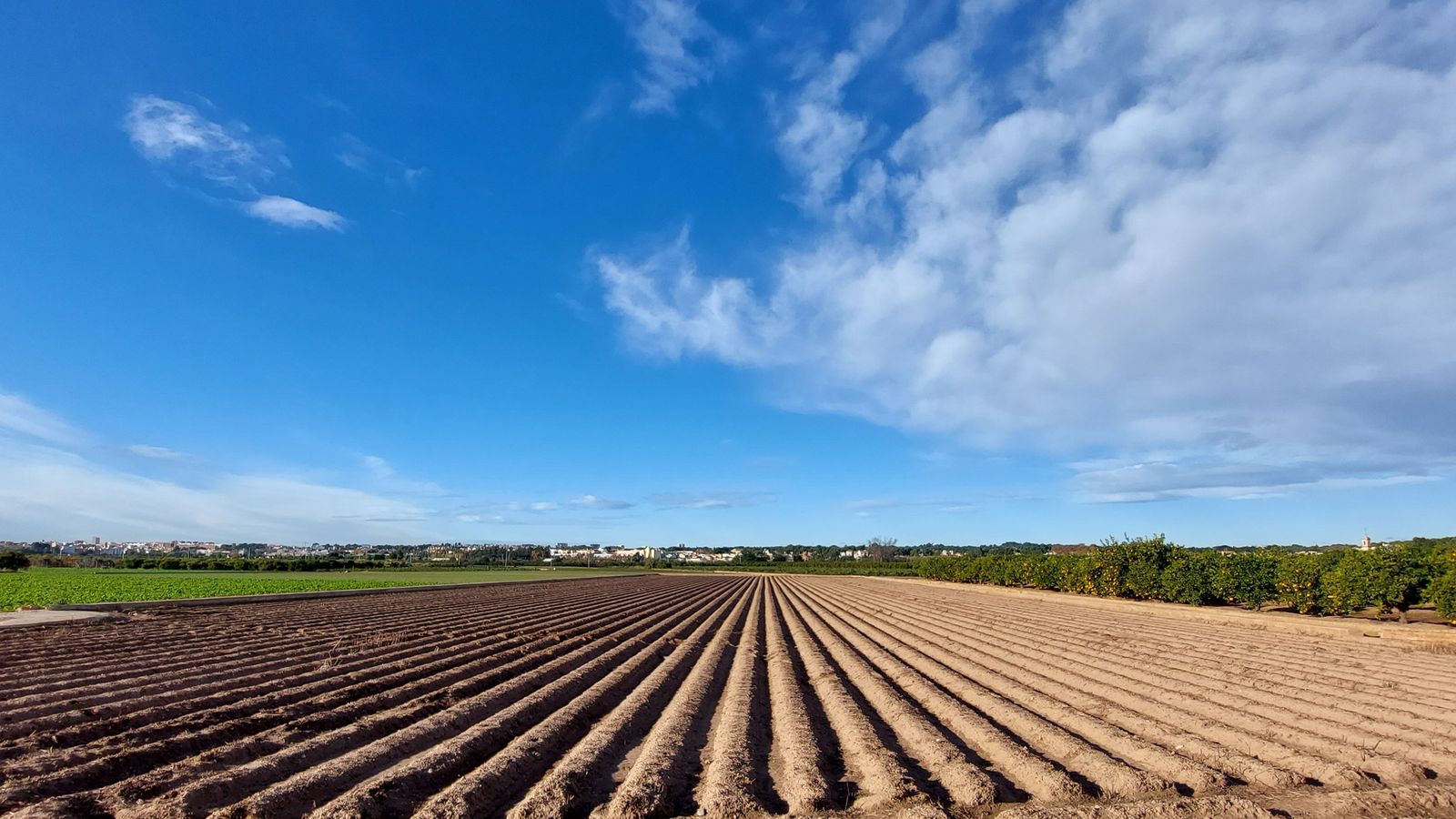 Montcada, l'Horta Nord