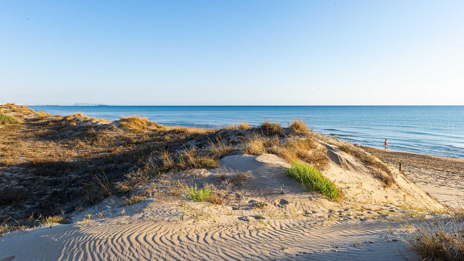 Platja de Terranova a Oliva