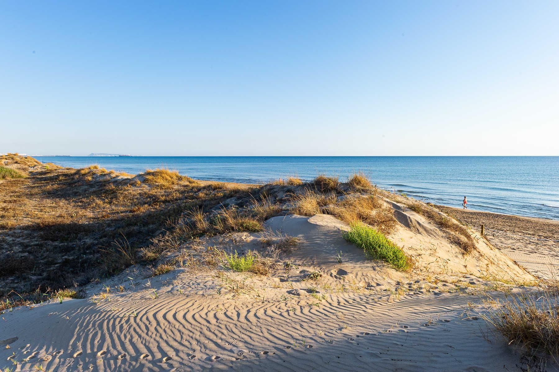 Platja de Terranova a Oliva