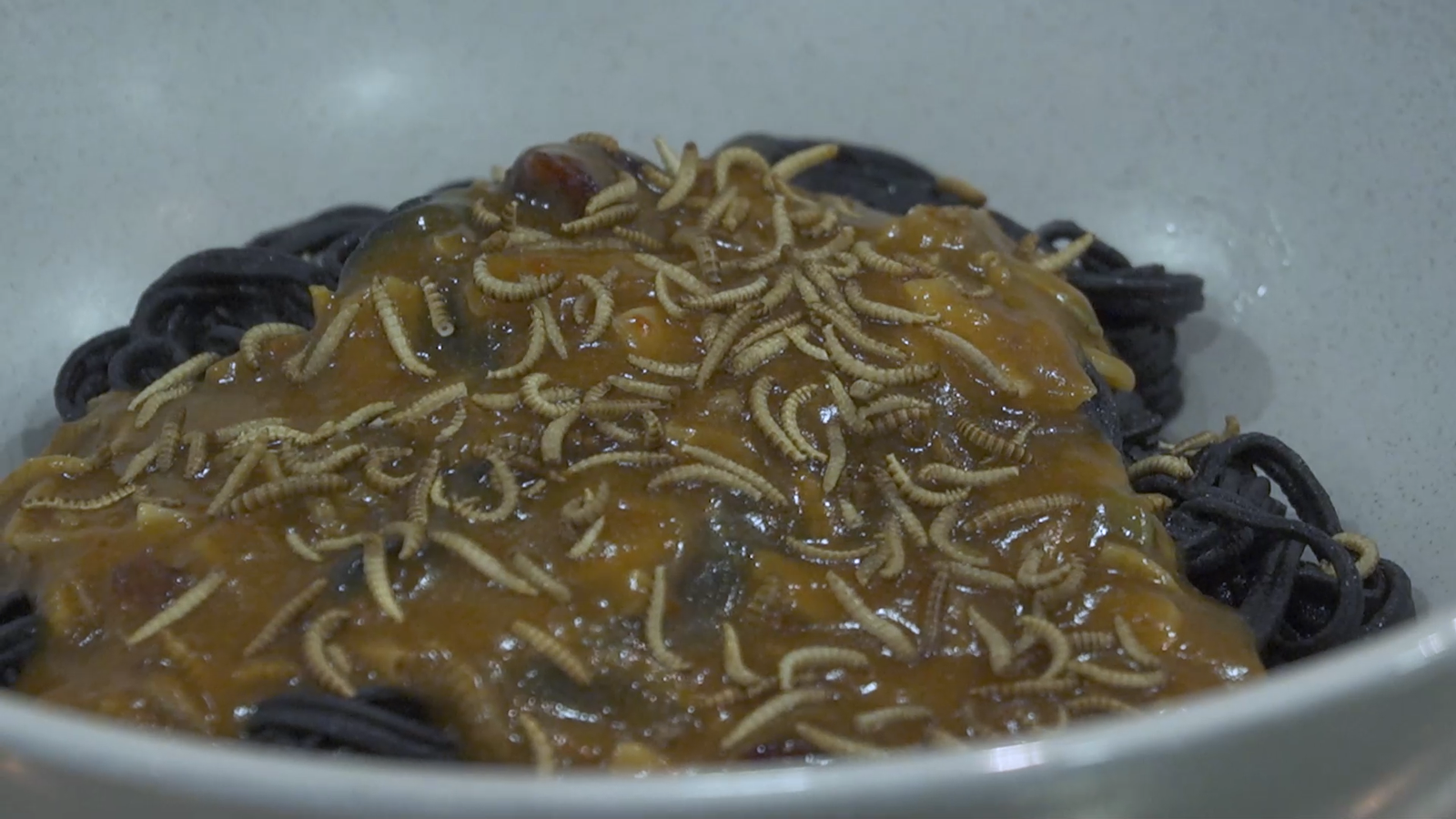 La FAO proposa els insectes com a part del menú per a combatre la fam.