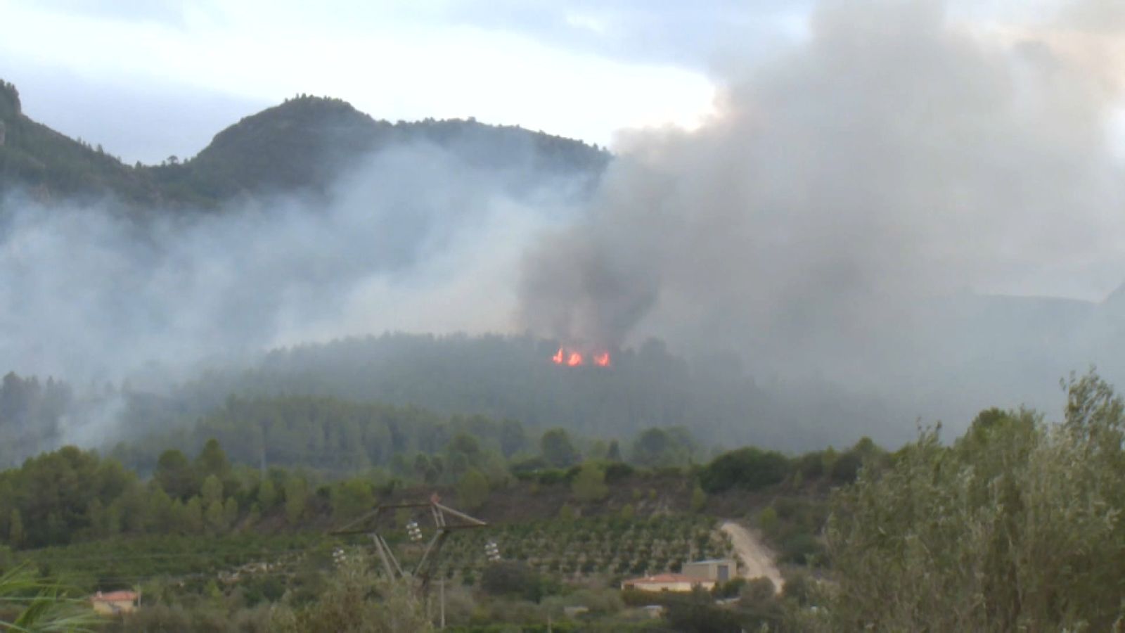 Incendi a Simat de la Valldigna