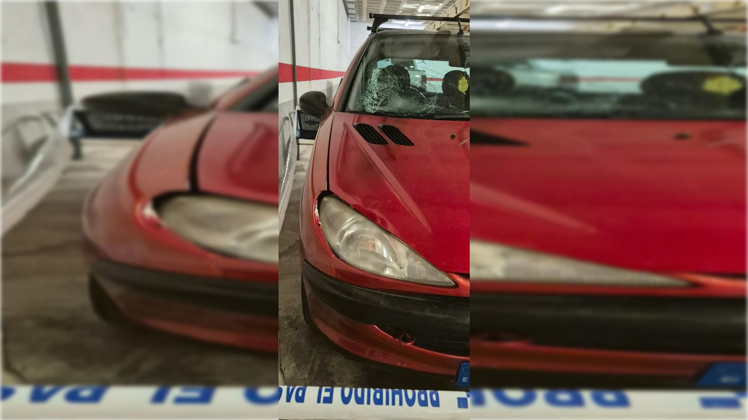 El cotxe involucrat en el sinistre, un Peugeot 206 El cotxe involucrat en el sinistre, un Peugeot 206