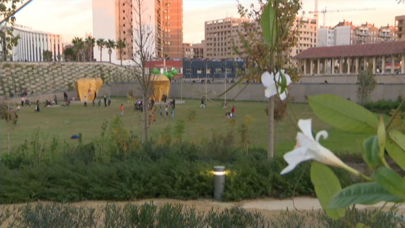 20.01.2019 | El nou Parc Central de València