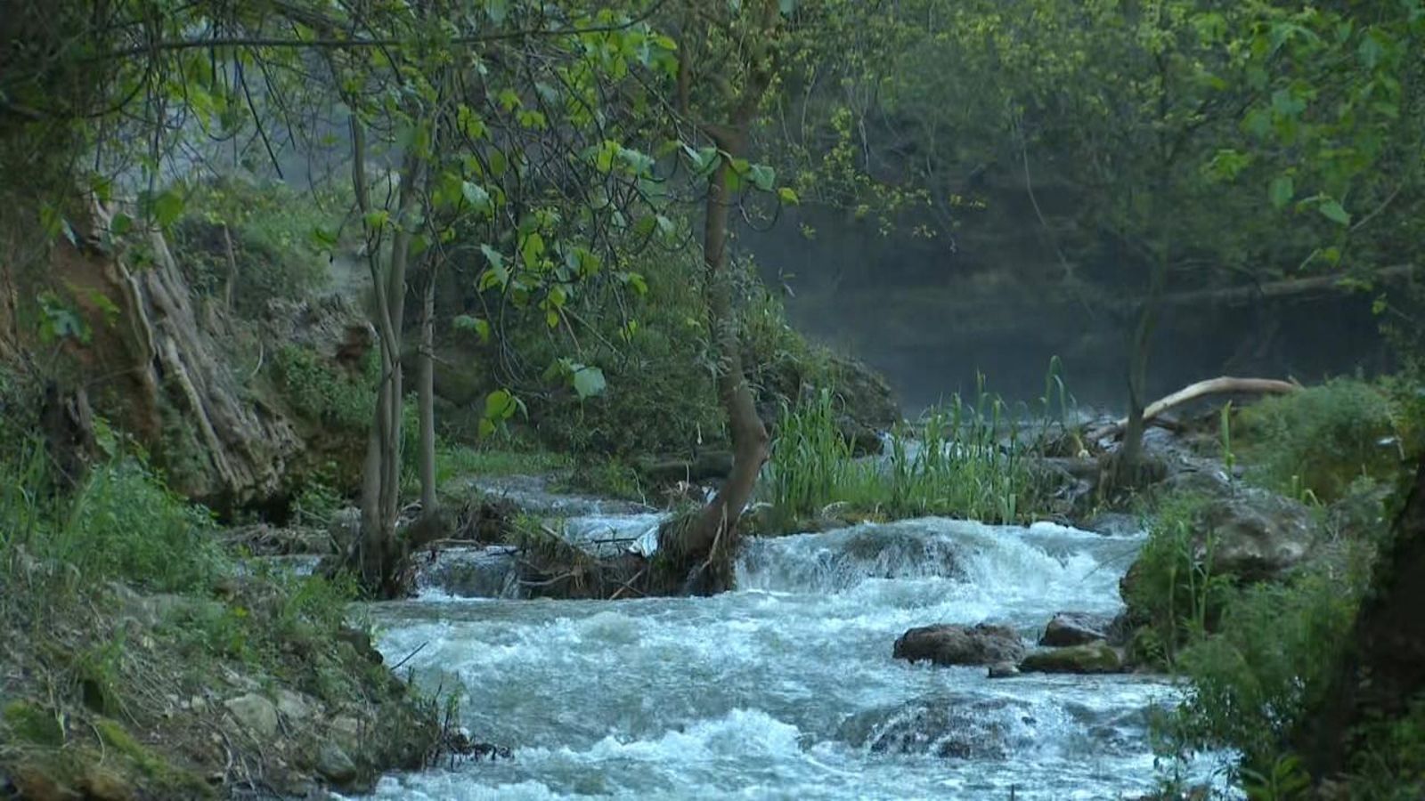 Com millorar la vigilància en espais naturals?