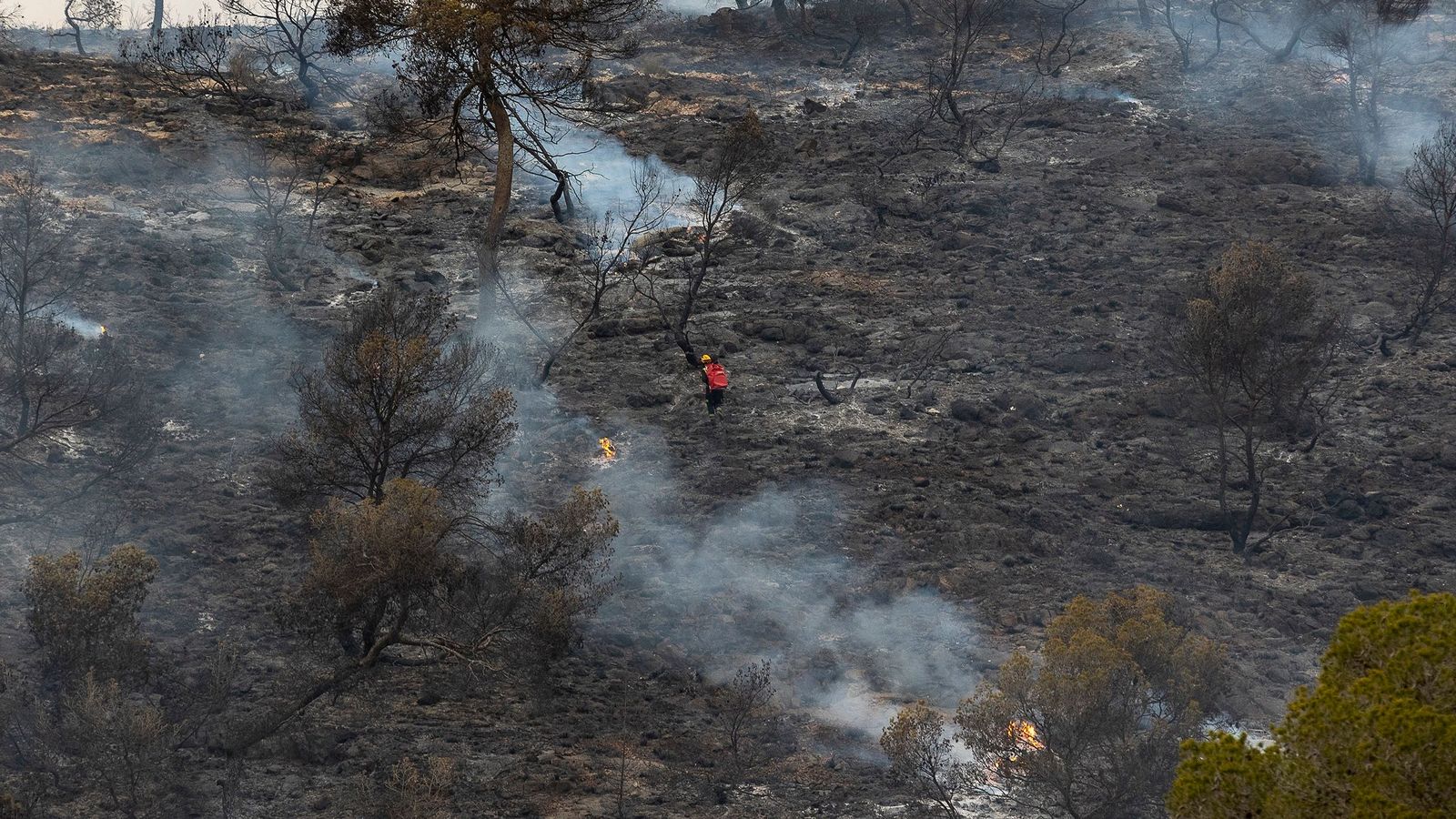 Incendi forestal a l'Algenya
