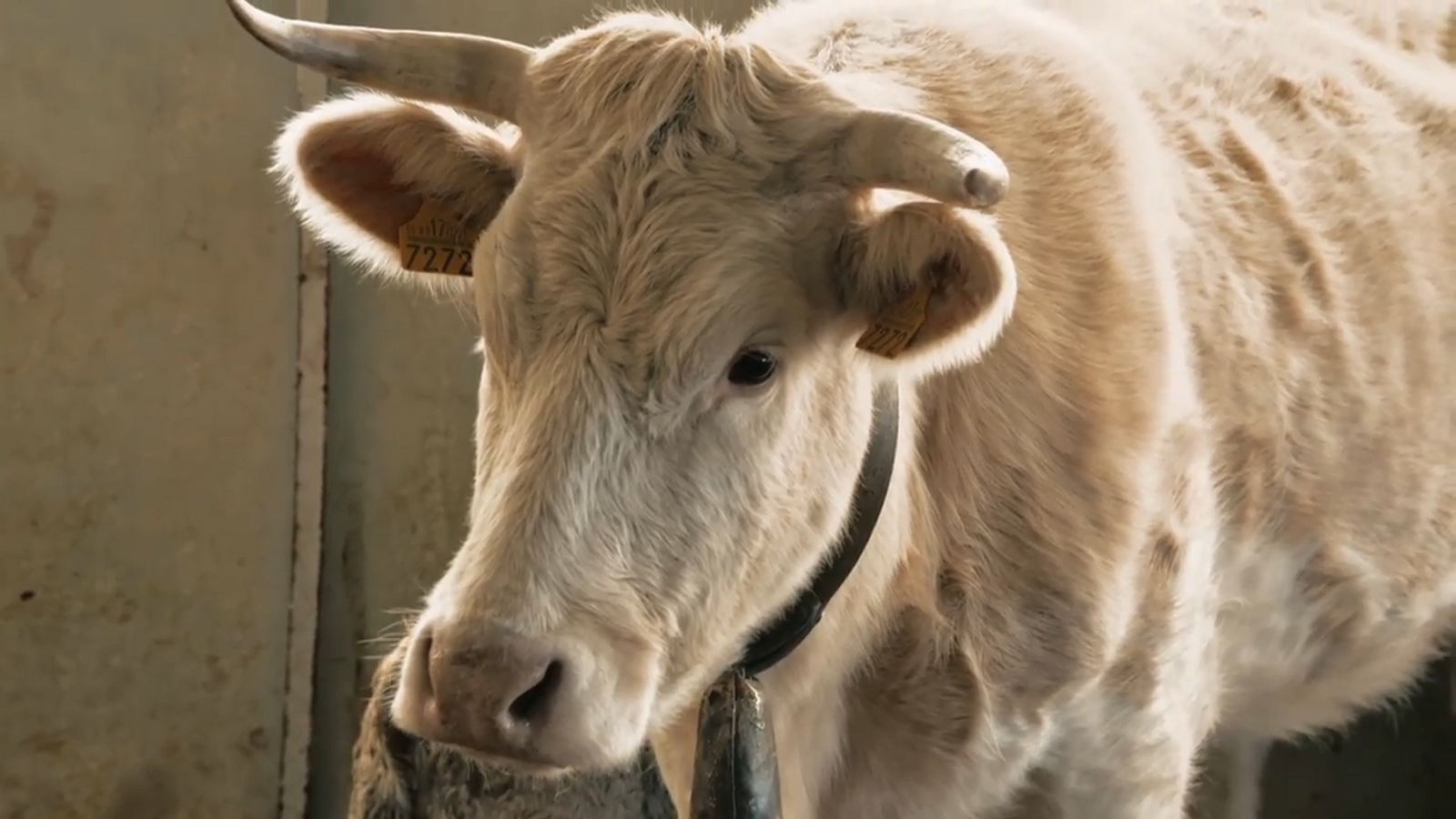 De mar i bancal | De pares i fills