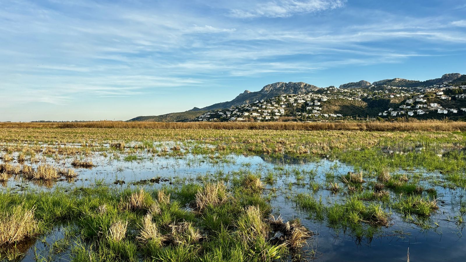 LA MARJAL DE PEGO, LA MARINA ALTA, JOAN FEMENIA MAS