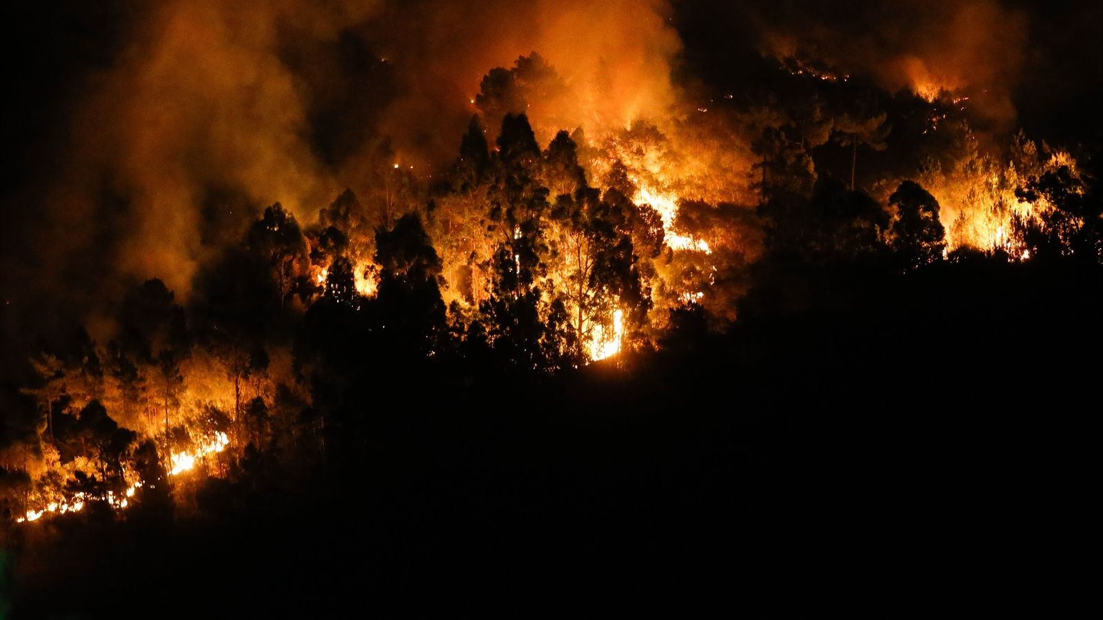 Incendi declarat a Quiroga, Lugo, este dimecres