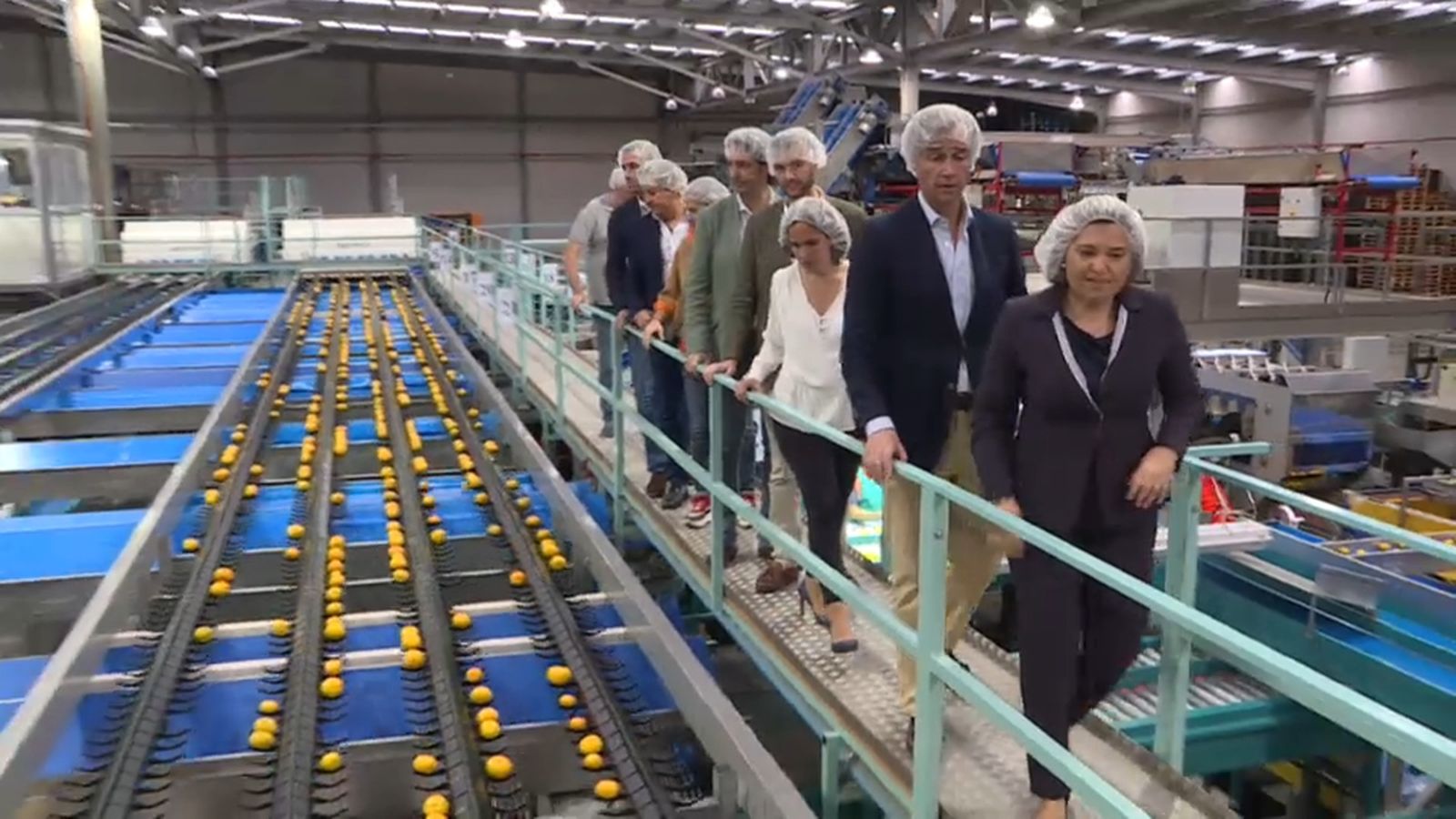 La presidenta del PPCV, Isabel Bonig, ha visitat aquest dijous un magatzem de cítrics a Alzira