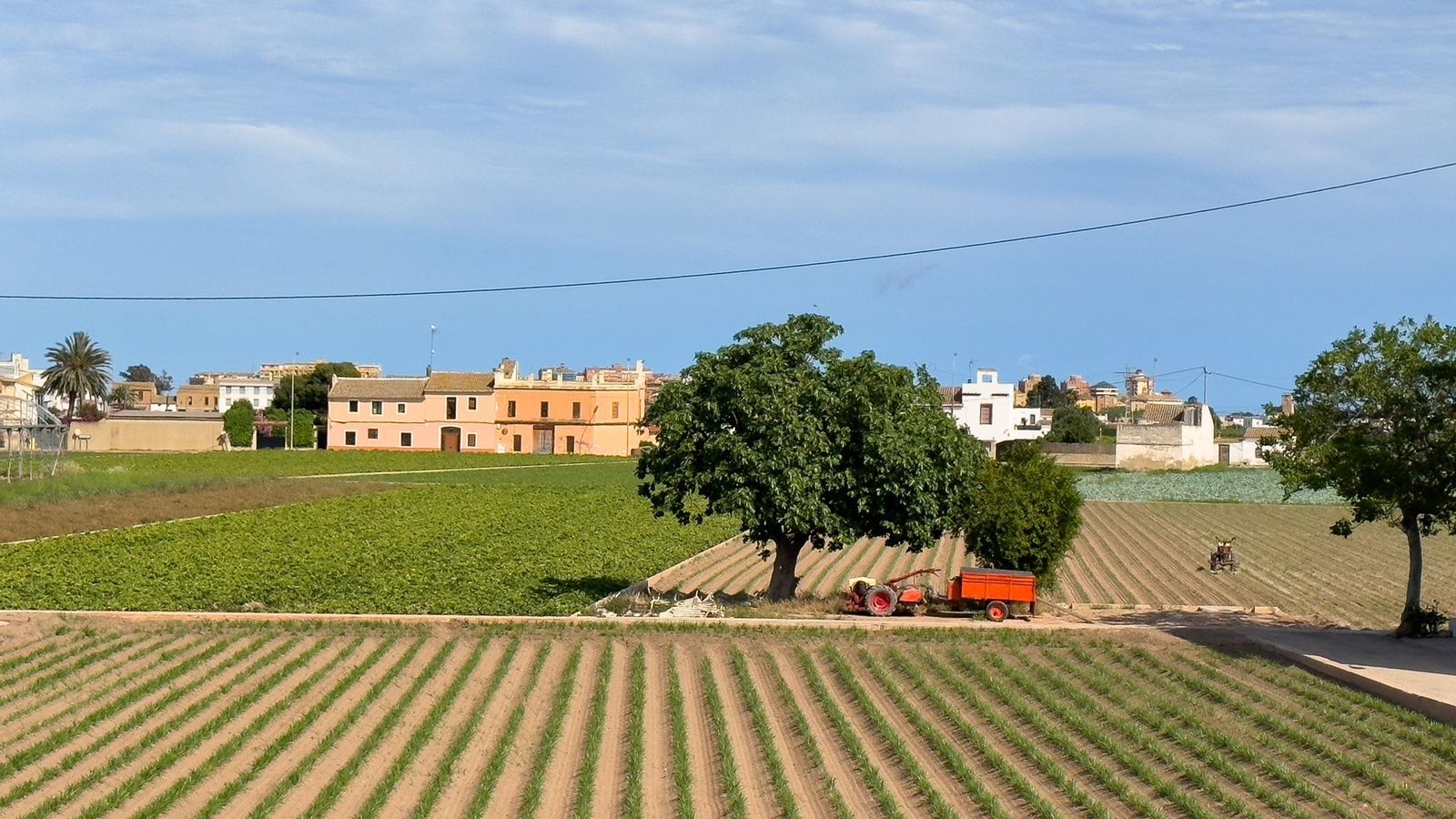 Paisatge típic d'horta valenciana