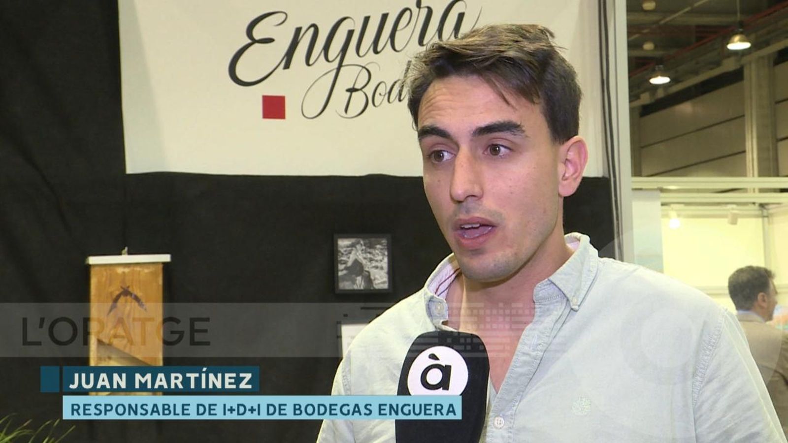 Les rates penades ajuden a combatre les plagues d’insectes de forma ecológica