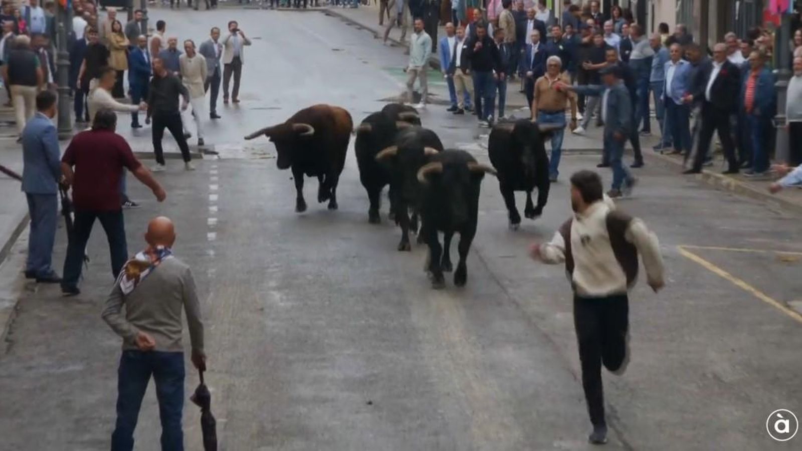 26.10.2025 | Entrada de bous i cavalls de Cheste