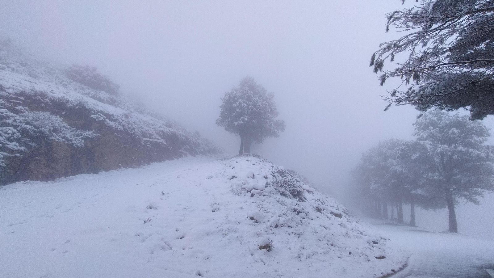 COLL DE RATES