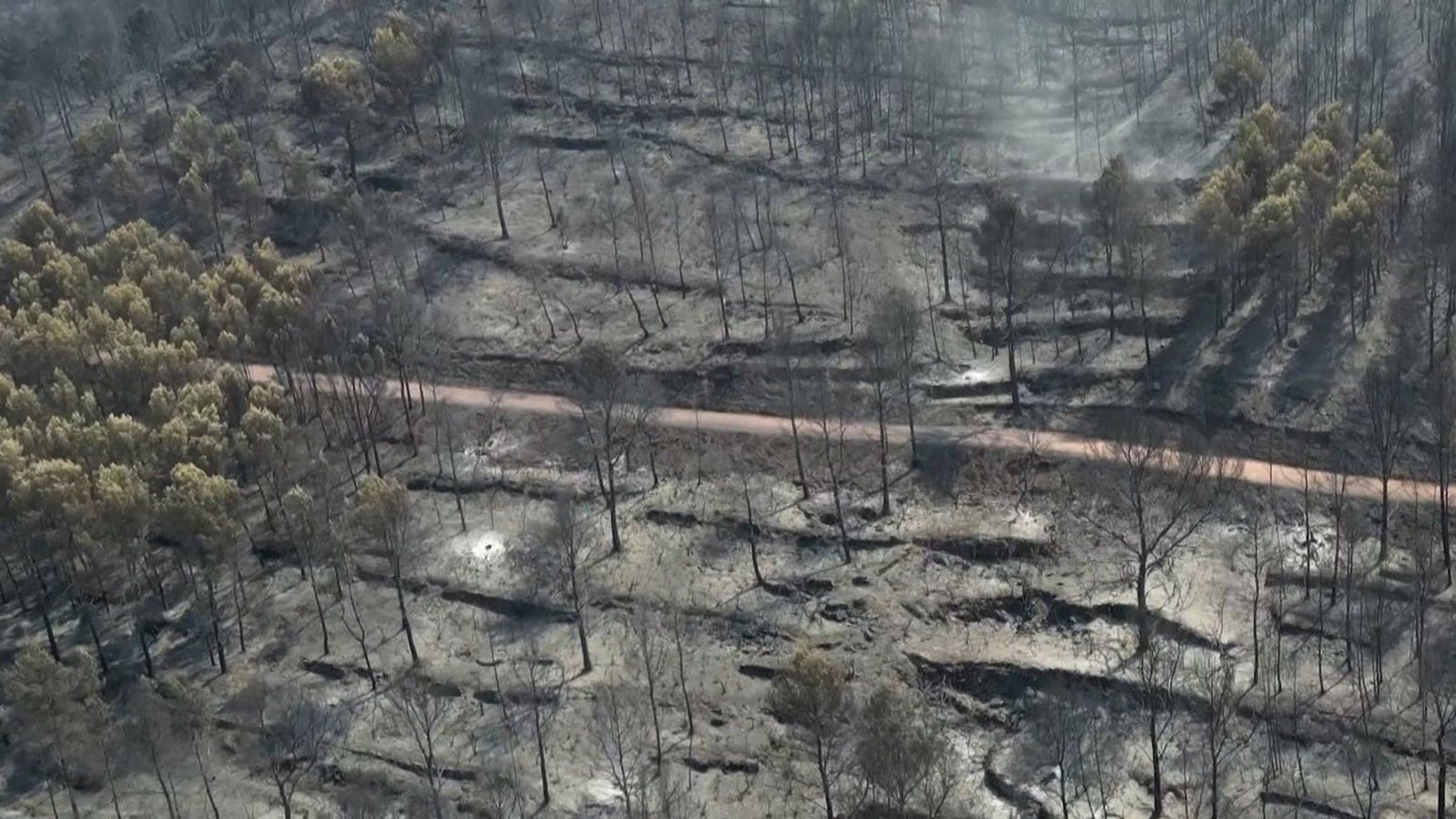 Imatges de la Vilavella després del pas de l'incendi