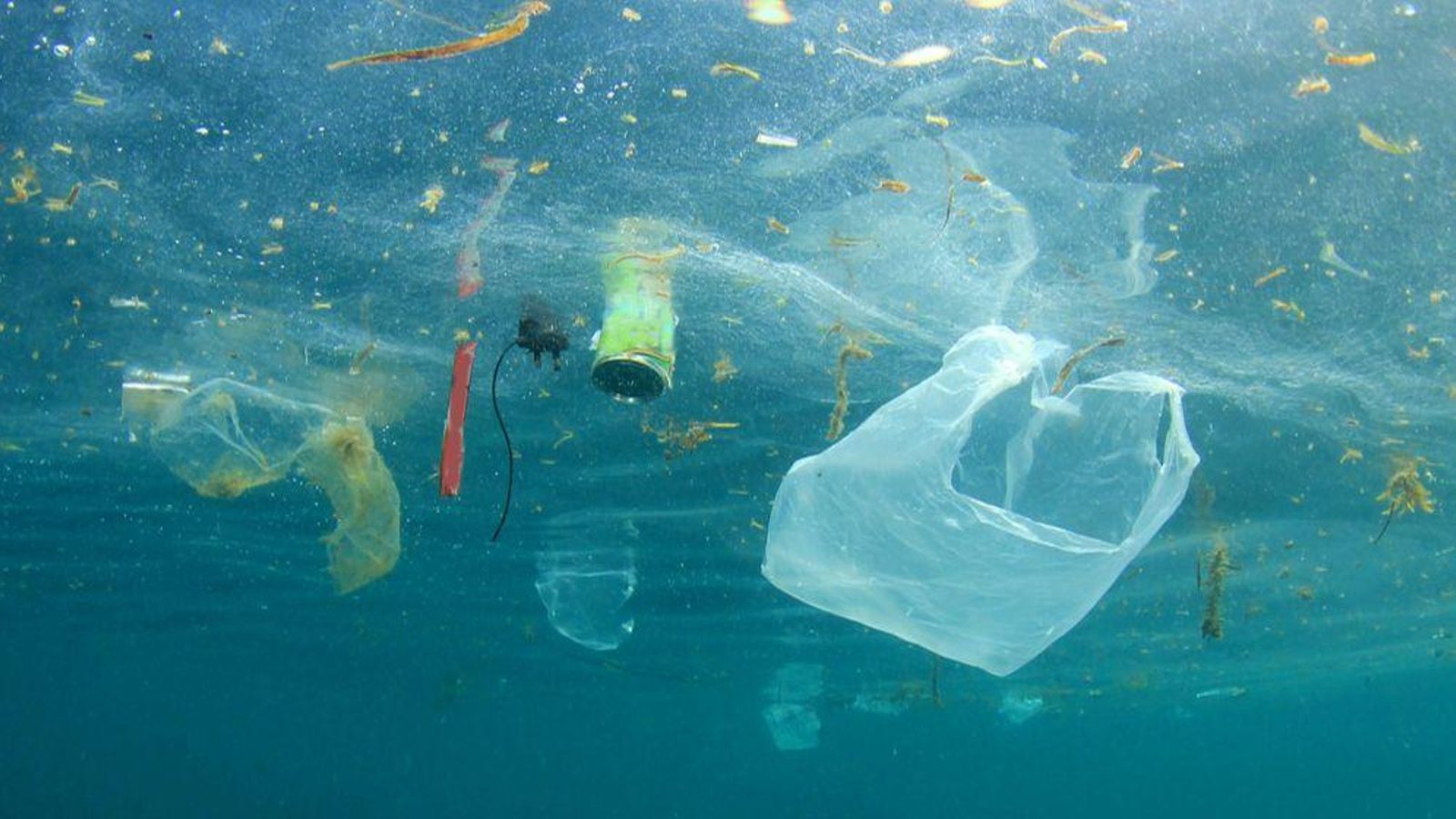 Aquest diumenge se celebra el Dia Internacional Lliure de les Bosses de Plàstic