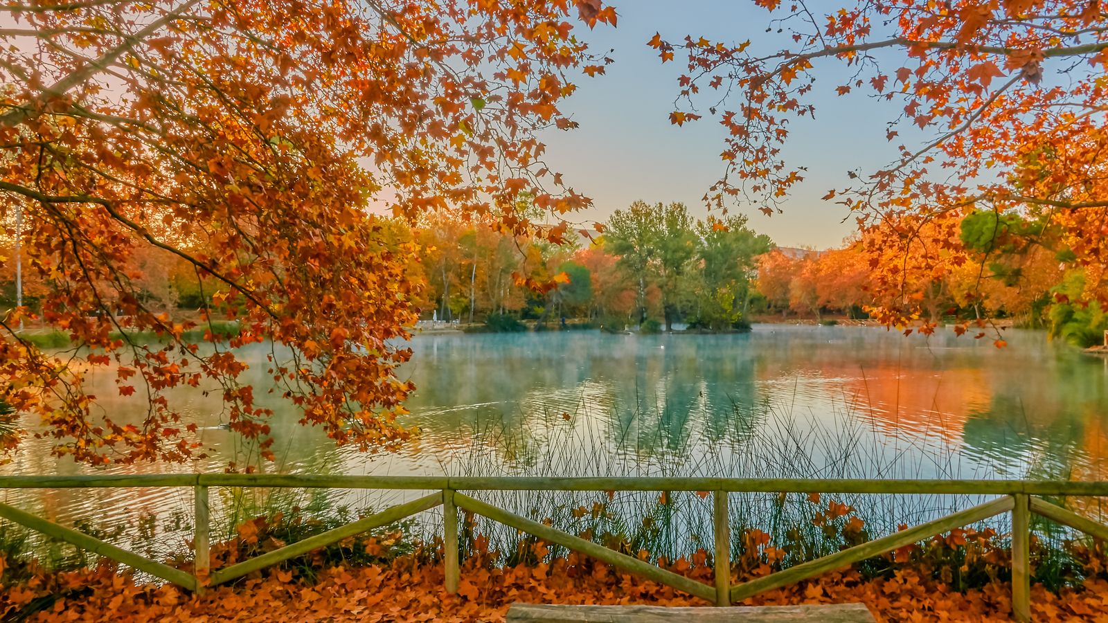 L'Albufera d'Anna