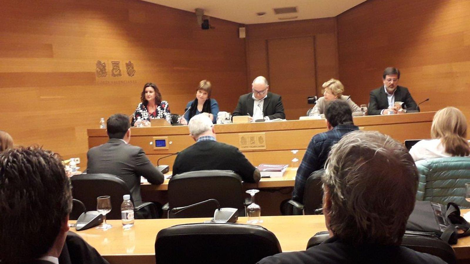 La directora general d'À Punt durant la seua intervenció a Les Corts