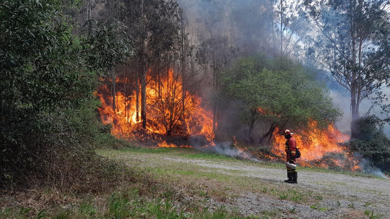 Intervenció d'un bomber en un dels incendis a Astúries