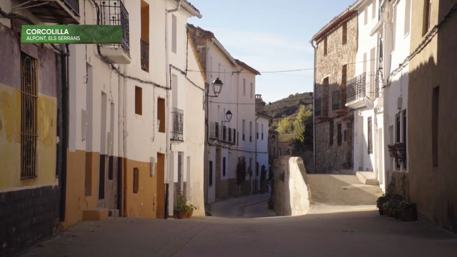 Imatge de Corcolilla del programa 'Terra viva'