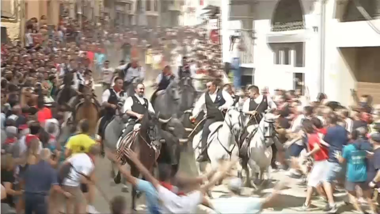 06.09.2023 | ENTRADA BOUS I CAVALLS SOGORB