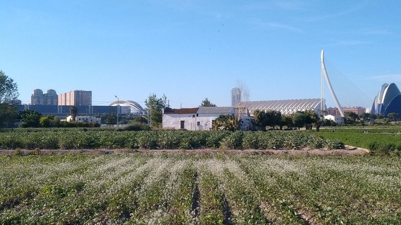 Aquestes dades dupliquen la mitjana nacional del sector agrícola