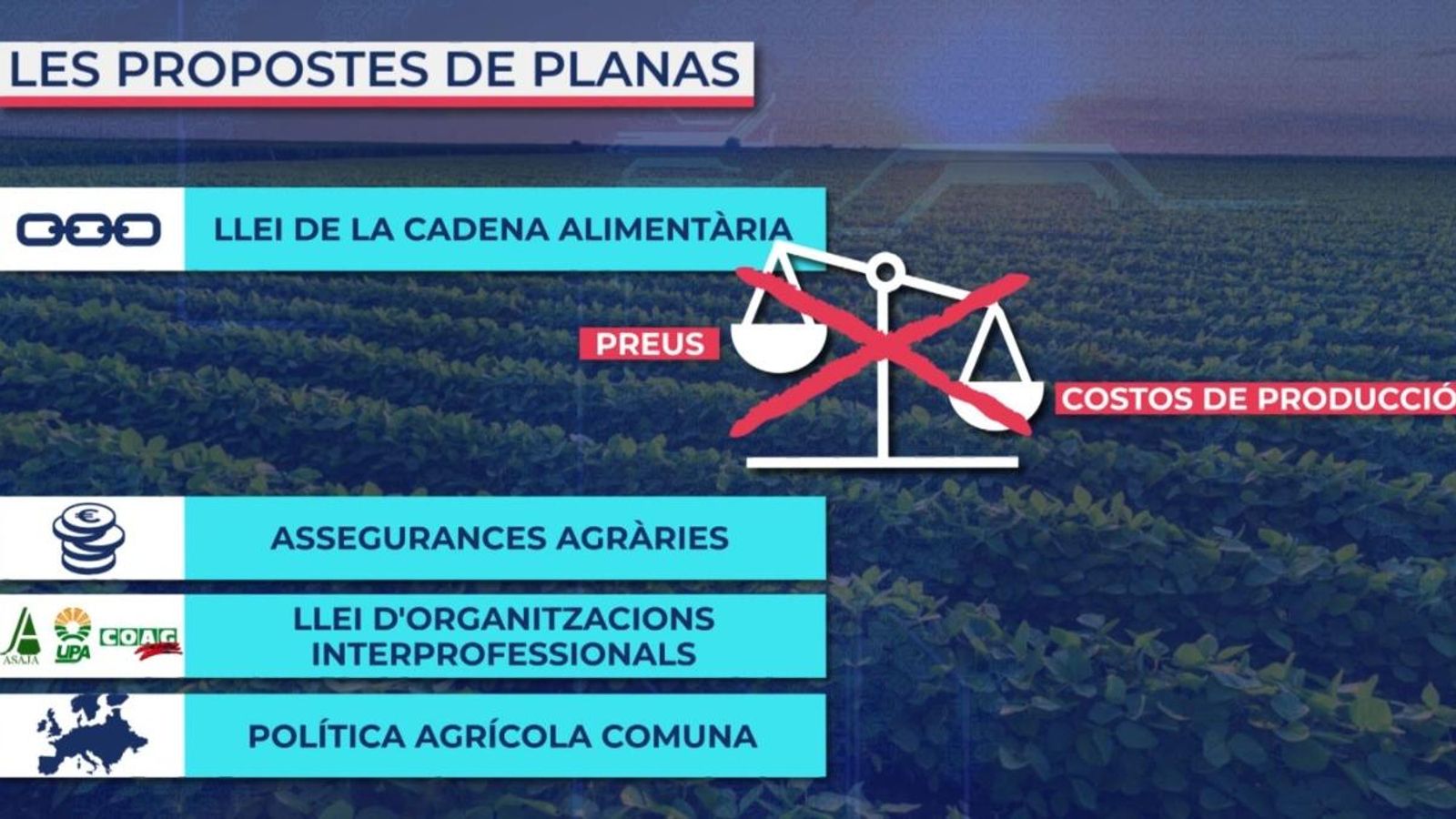 Planas es reunirà amb els grans distribuïdors per a millorar la rendibilitat dels agricultors