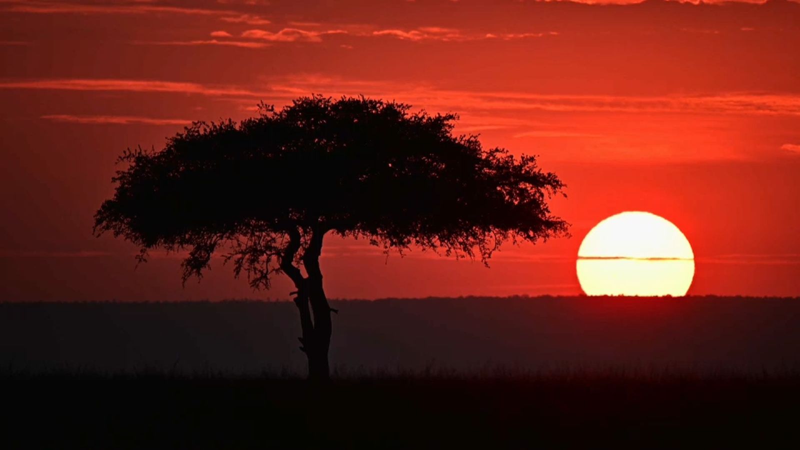 Valencians al món | Kènia