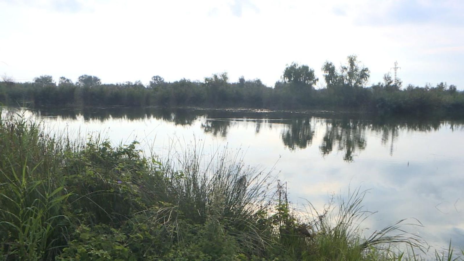 La marjal d'Almenara