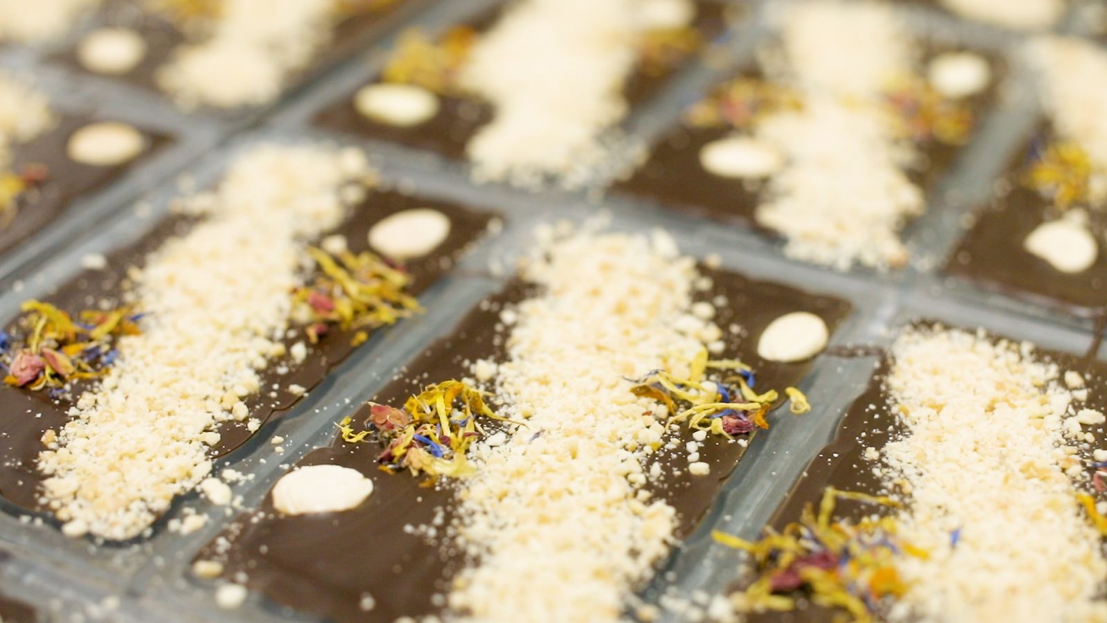 Xocolates artesans