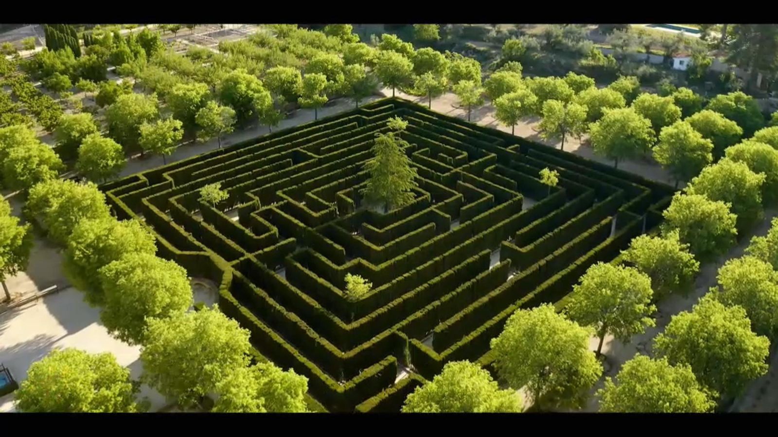 El jardí vegetal d'Onil
