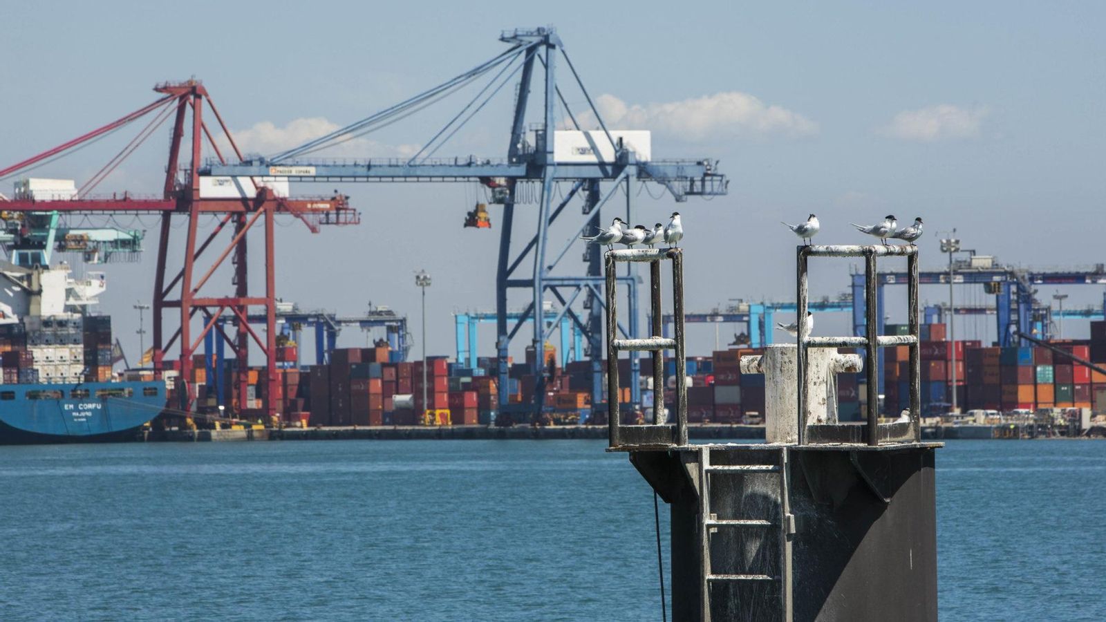Imatge d'arxiu del port de València, amb nombroses grues i contenidors al fons