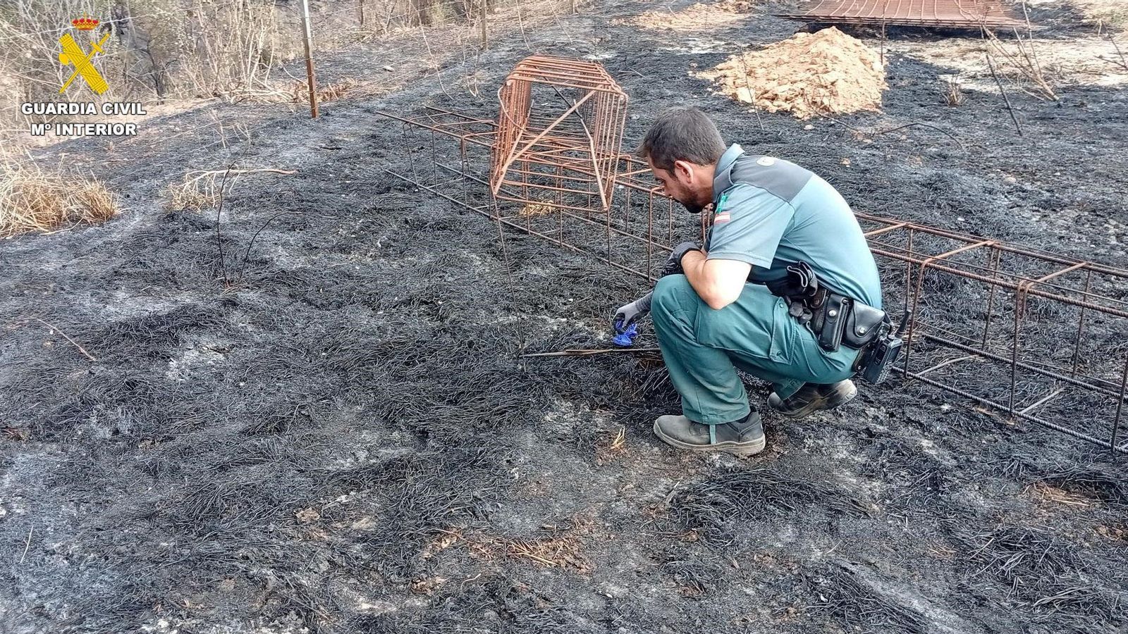 Un agent de la Guàrdia Civil inspecciona la parcela on suposadament es va originar l'incendi de Titaguas