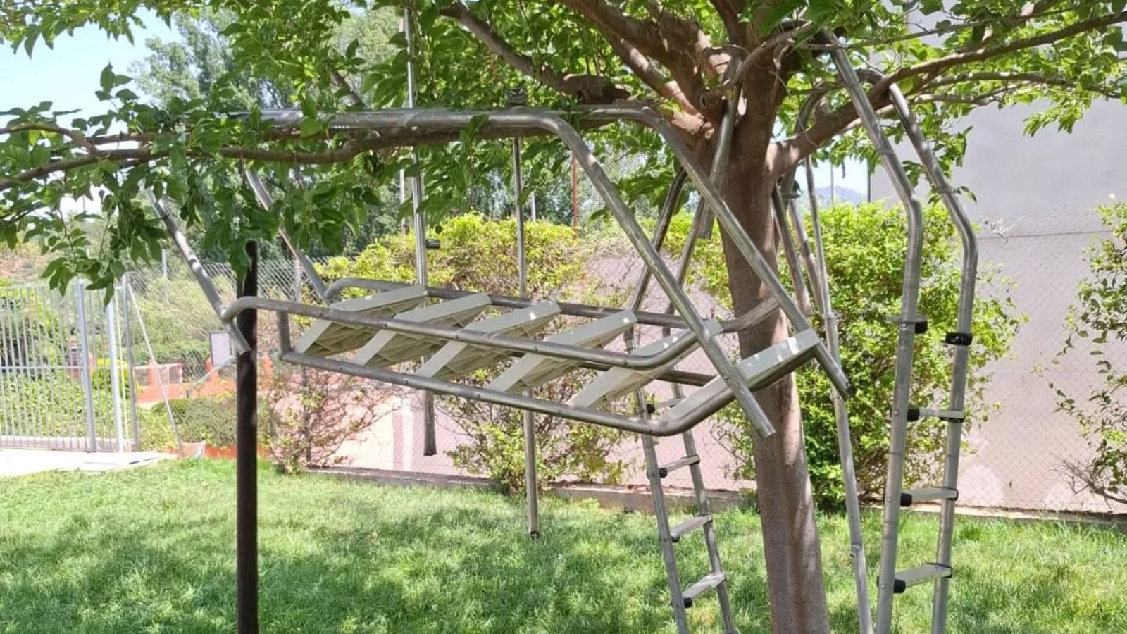 Dos de les escales de les piscines han aparegut penjades als arbres