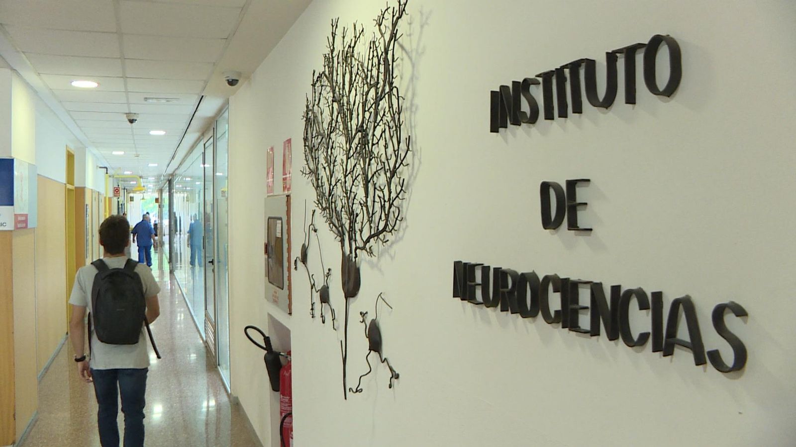 L'Institut de Neurociències investiga el desenvolupament de fàrmacs per a alentir el deteriorament cognitiu