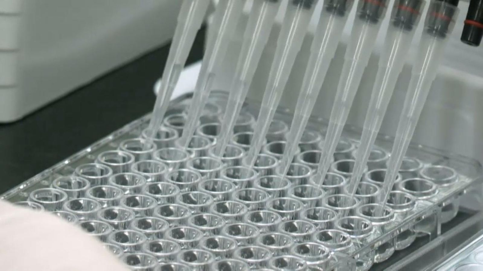 A Espanya es realitzen 15.000 proves de coronavirus diàries