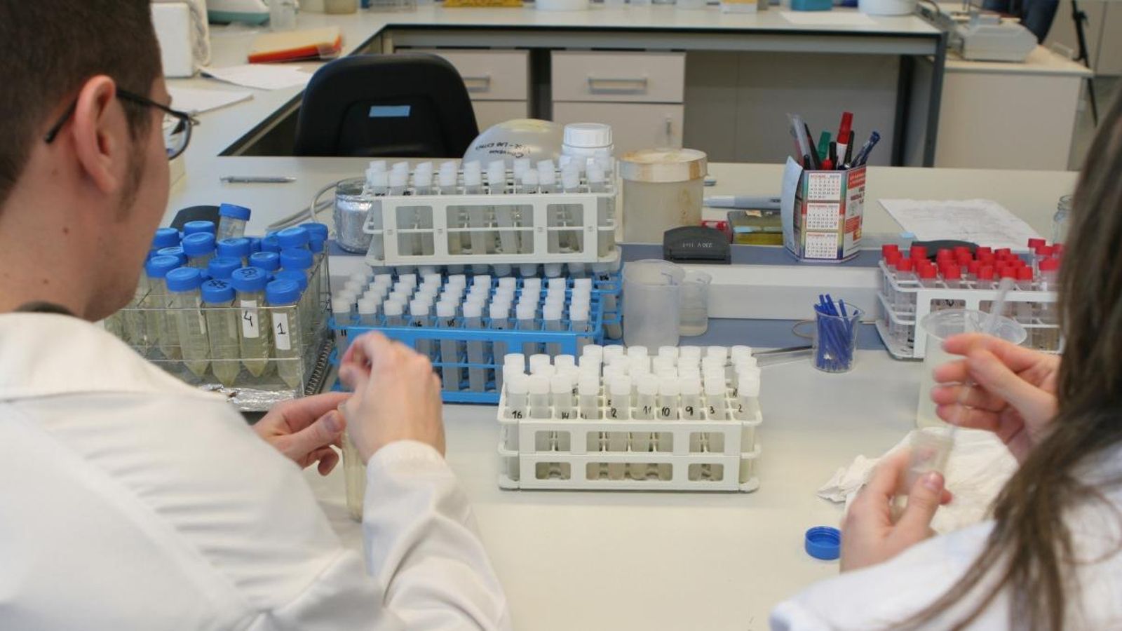 Tècnics de laboratori treballen amb mostres, en una imatge d'arxiu.