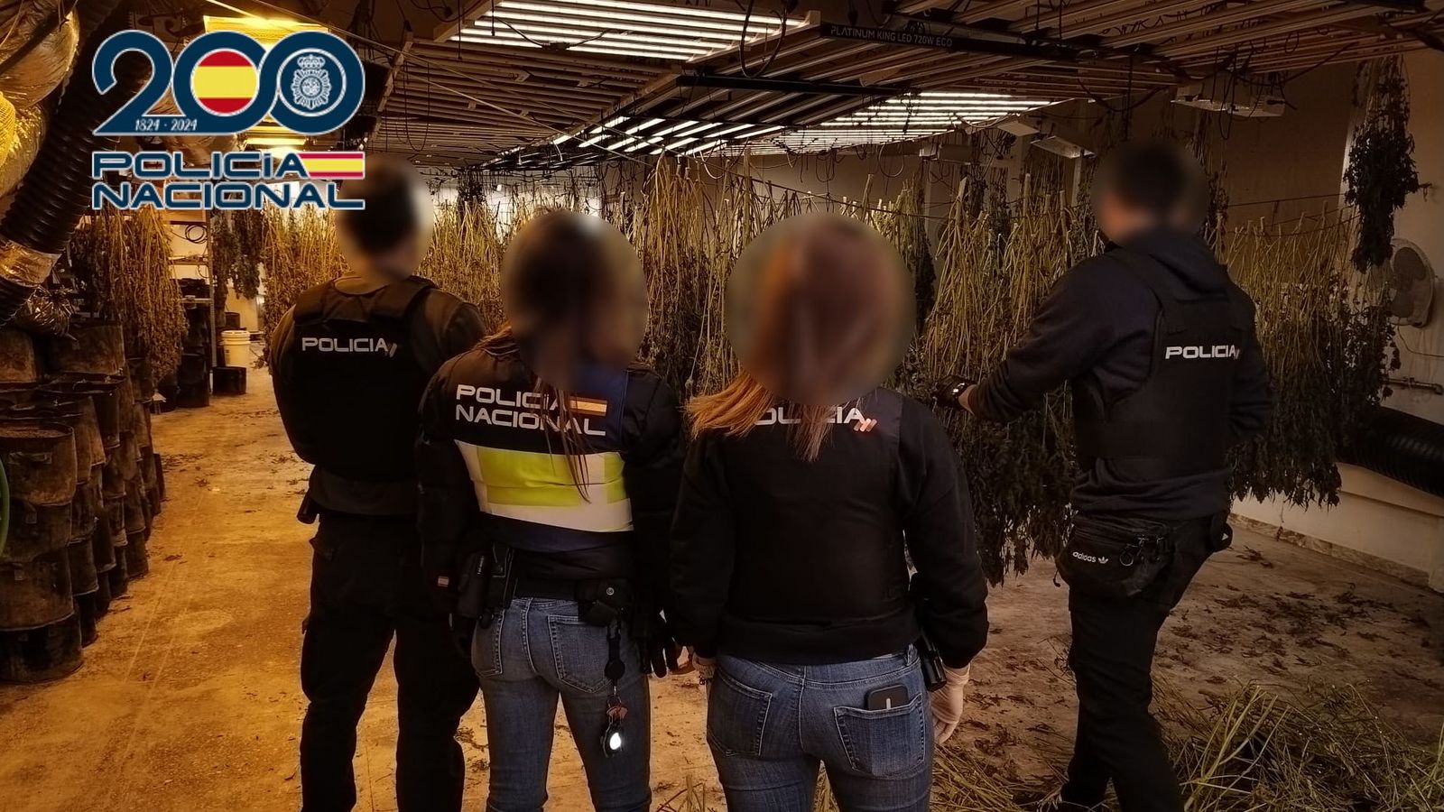 Diversos agents de policia durant el registre de la nau industrial de Petrer on es cultivava marihuana