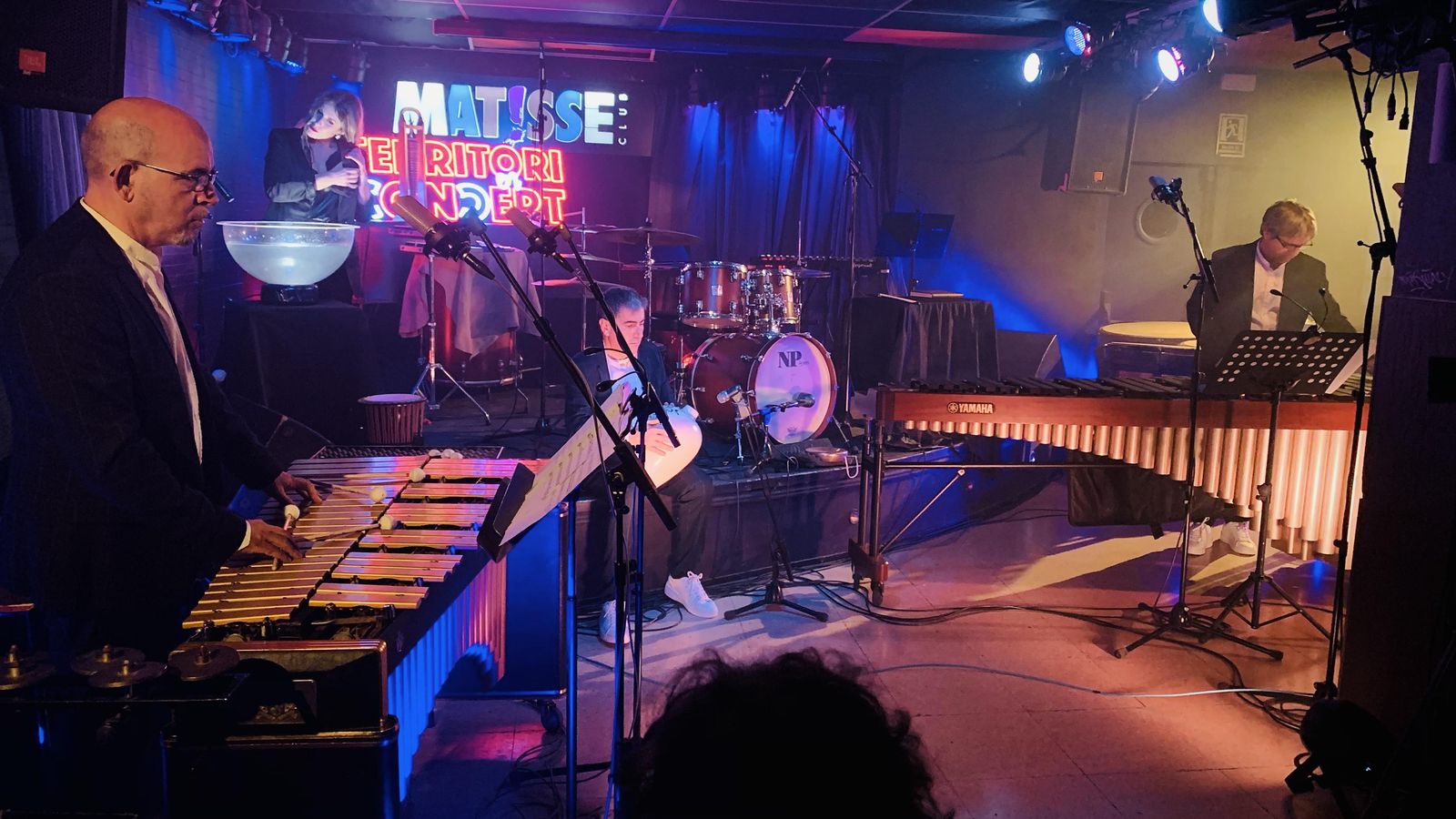 Territori en concert | Amores Grup de Percussió