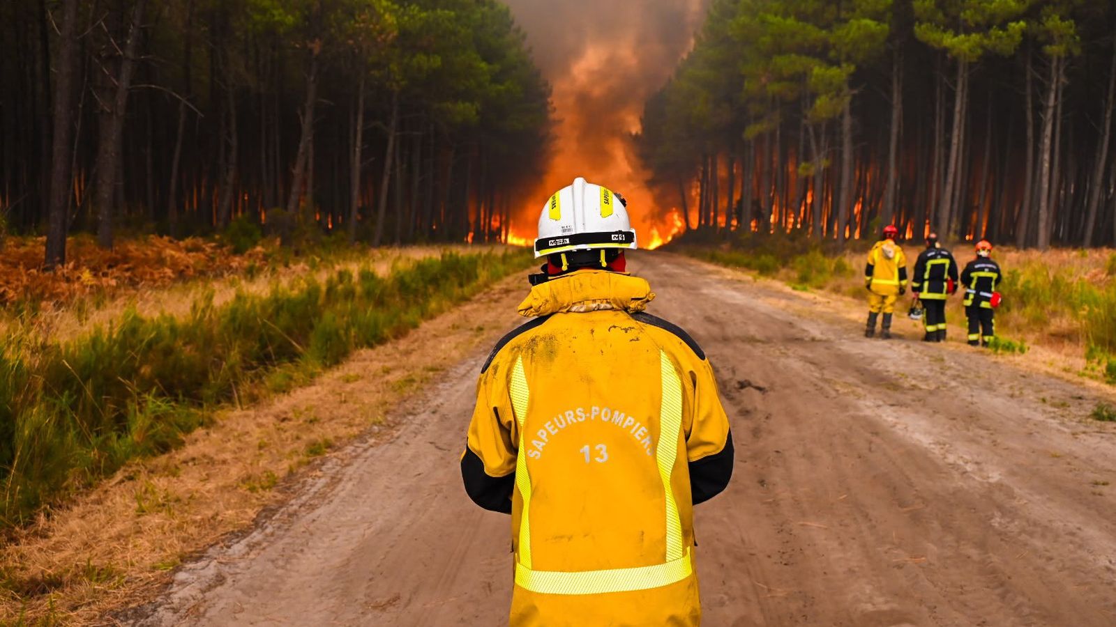 França viu un estiu de rècord històric quant a incendis forestals, amb 116.000 hectàrees cremades